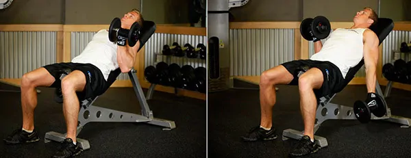 Lifting dumbbells for biceps on an incline bench.