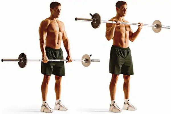 Barbell curl with an overhand grip.