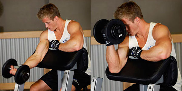 Scott Bench Curl with Dumbbells