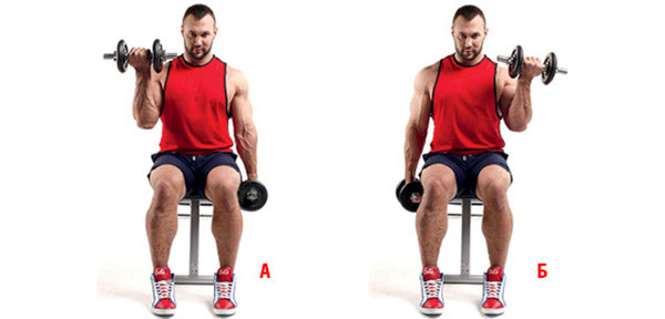 Seated arm curls.
