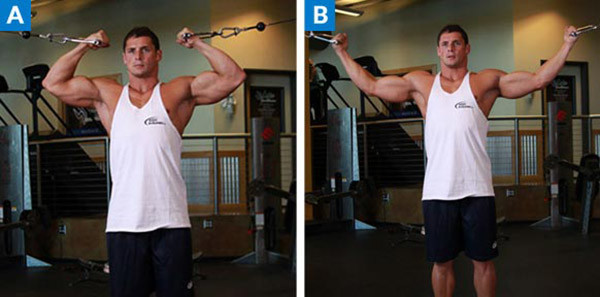 Crossover biceps curl