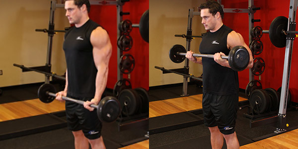 Barbell row along the body for biceps